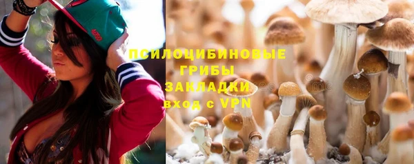 сатива Гусиноозёрск