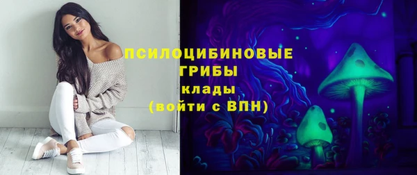 сатива Гусиноозёрск