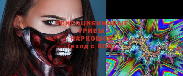 прущий лед Гусь-Хрустальный
