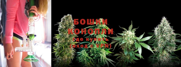 прущая мука Горняк